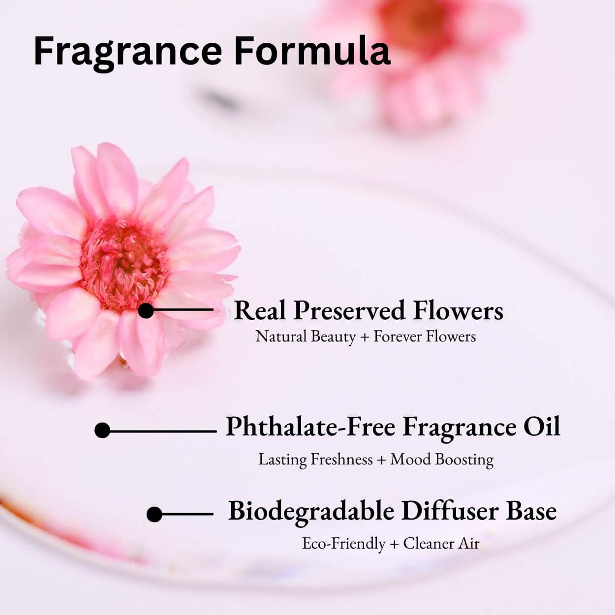 Lychee Guava Car Diffuser fragrance formula with real preserved flowers, phthalate-free oil and biodegradable diffuser base