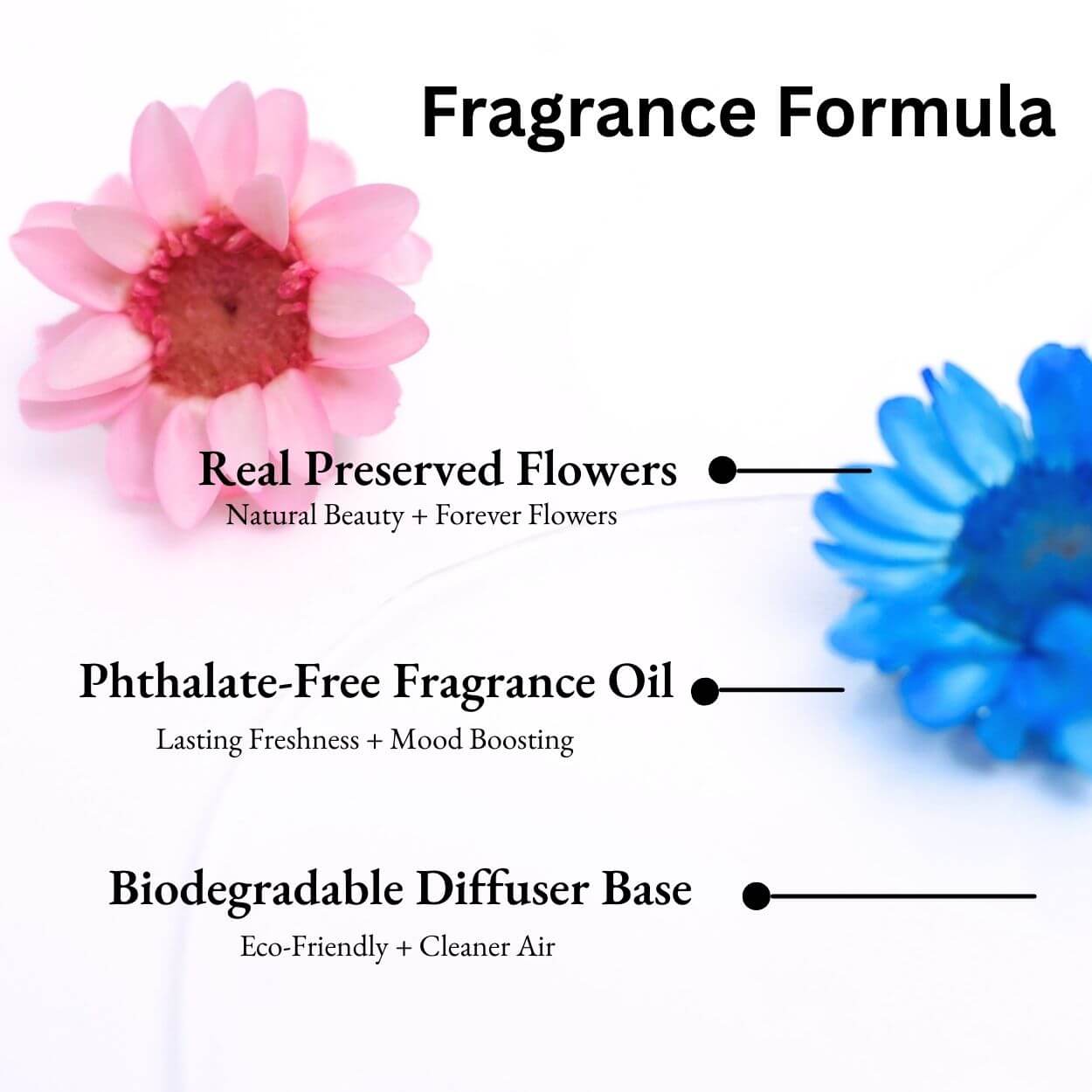 Fragrance formula of Pink Champagne & Exotic Fruits Car Diffuser with real preserved flowers, phthalate-free oil and biodegradable base