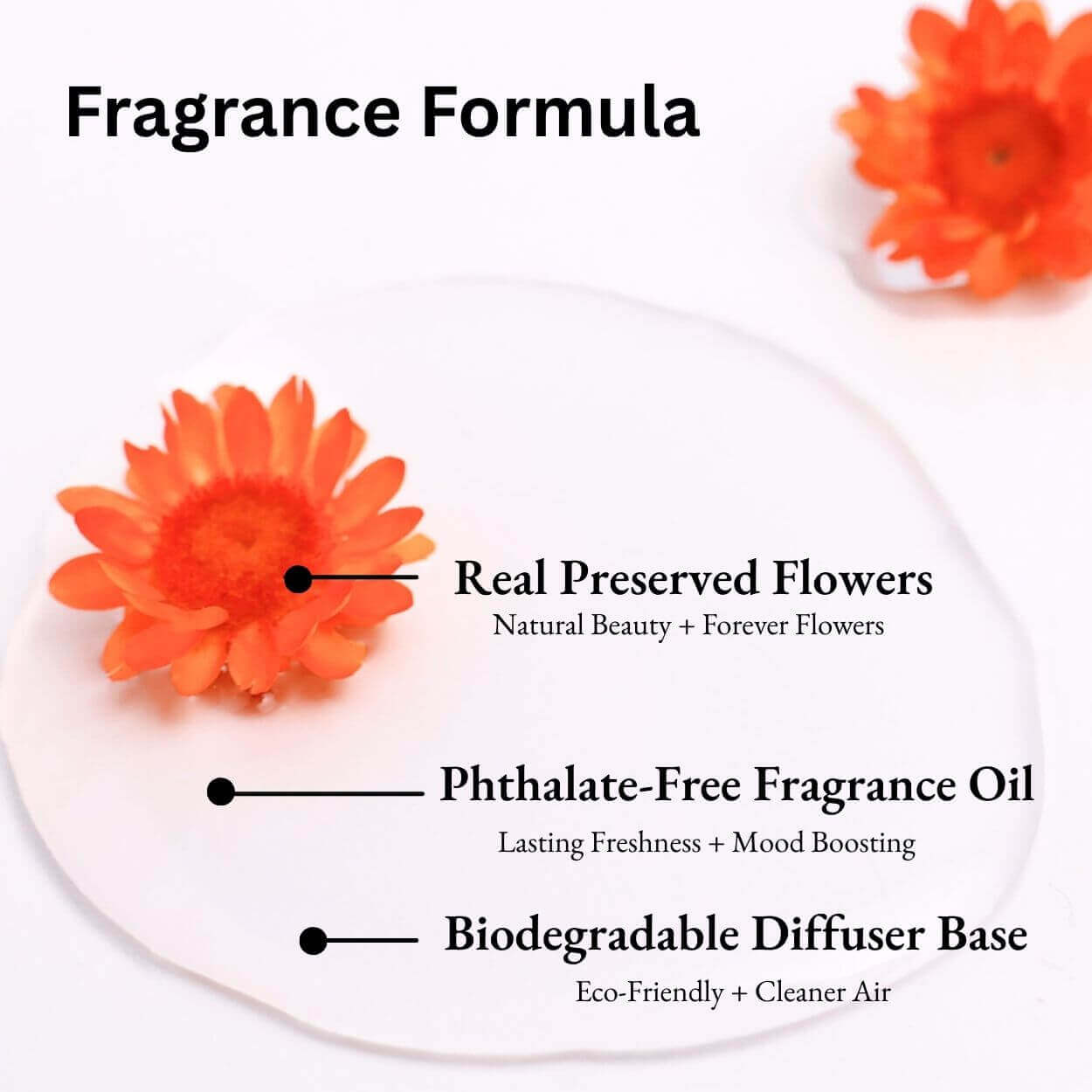 Lime, Basil & Mandarin Car Diffuser fragrance formula with real preserved flowers, phthalate-free oil and biodegradable diffuser base