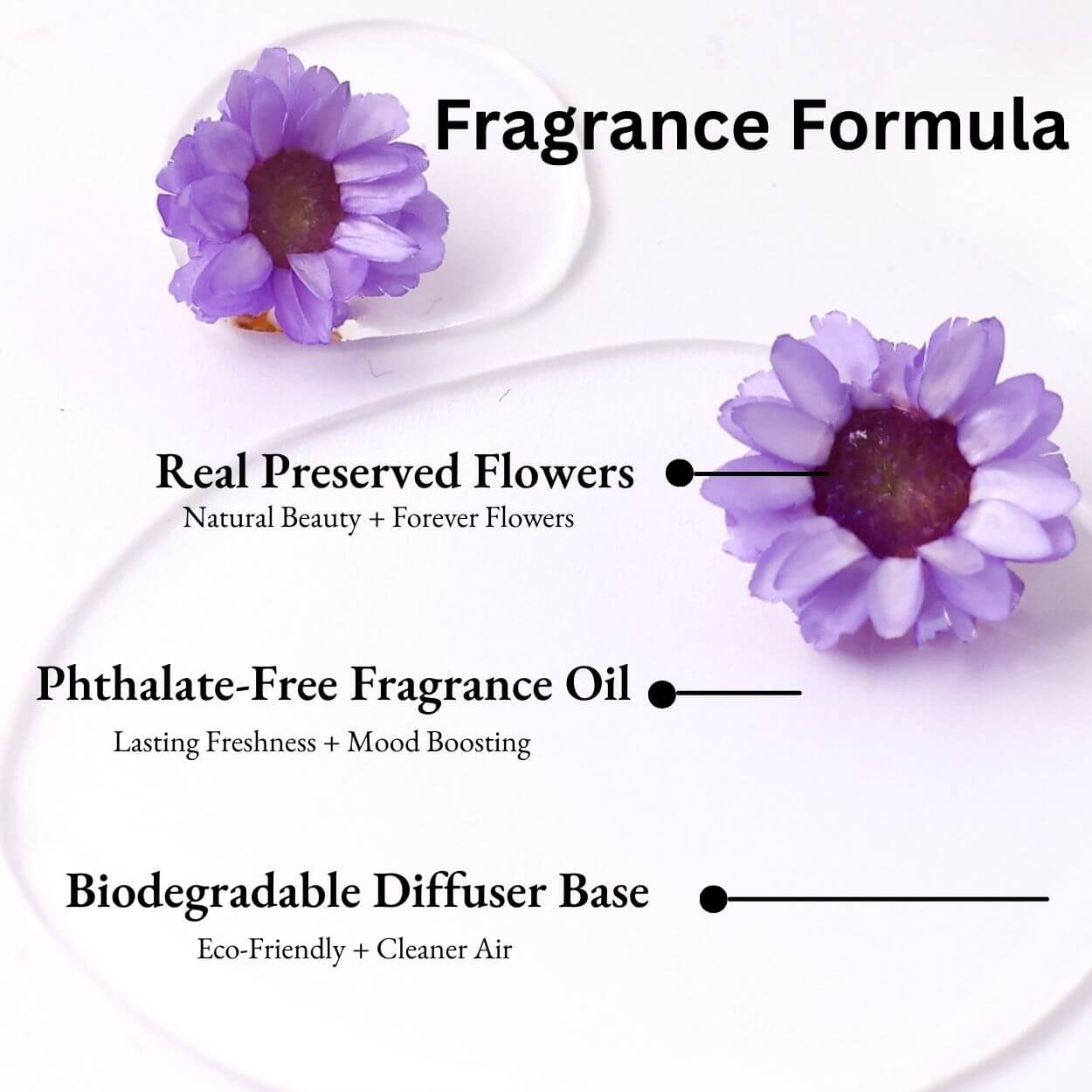Japanese Honeysuckle Car Diffuser fragrance formula with real preserved flowers, phthalate-free oil and biodegradable diffuser base