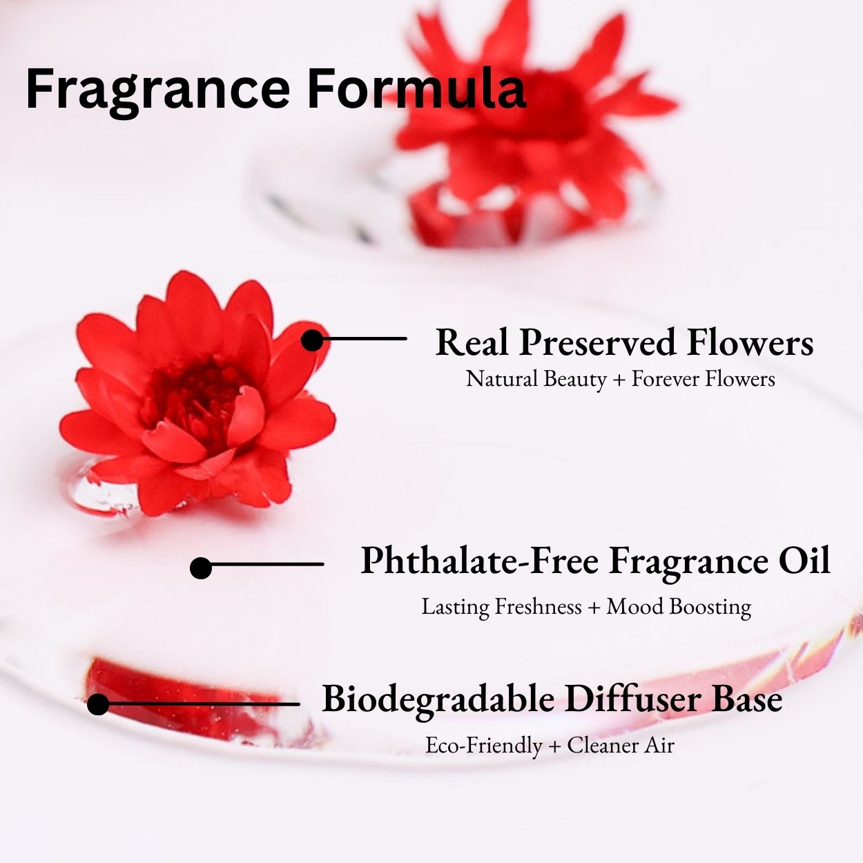 Black Raspberry & Vanilla Car Diffuser