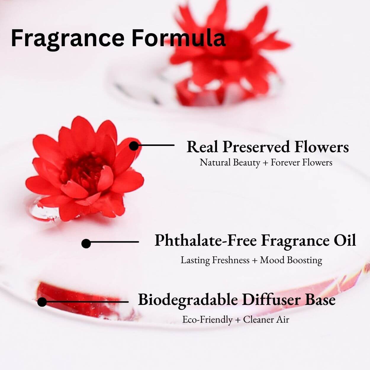 Fragrance Formula with real preserved flowers, phthalate-free fragrance oil, and biodegradable diffuser base.