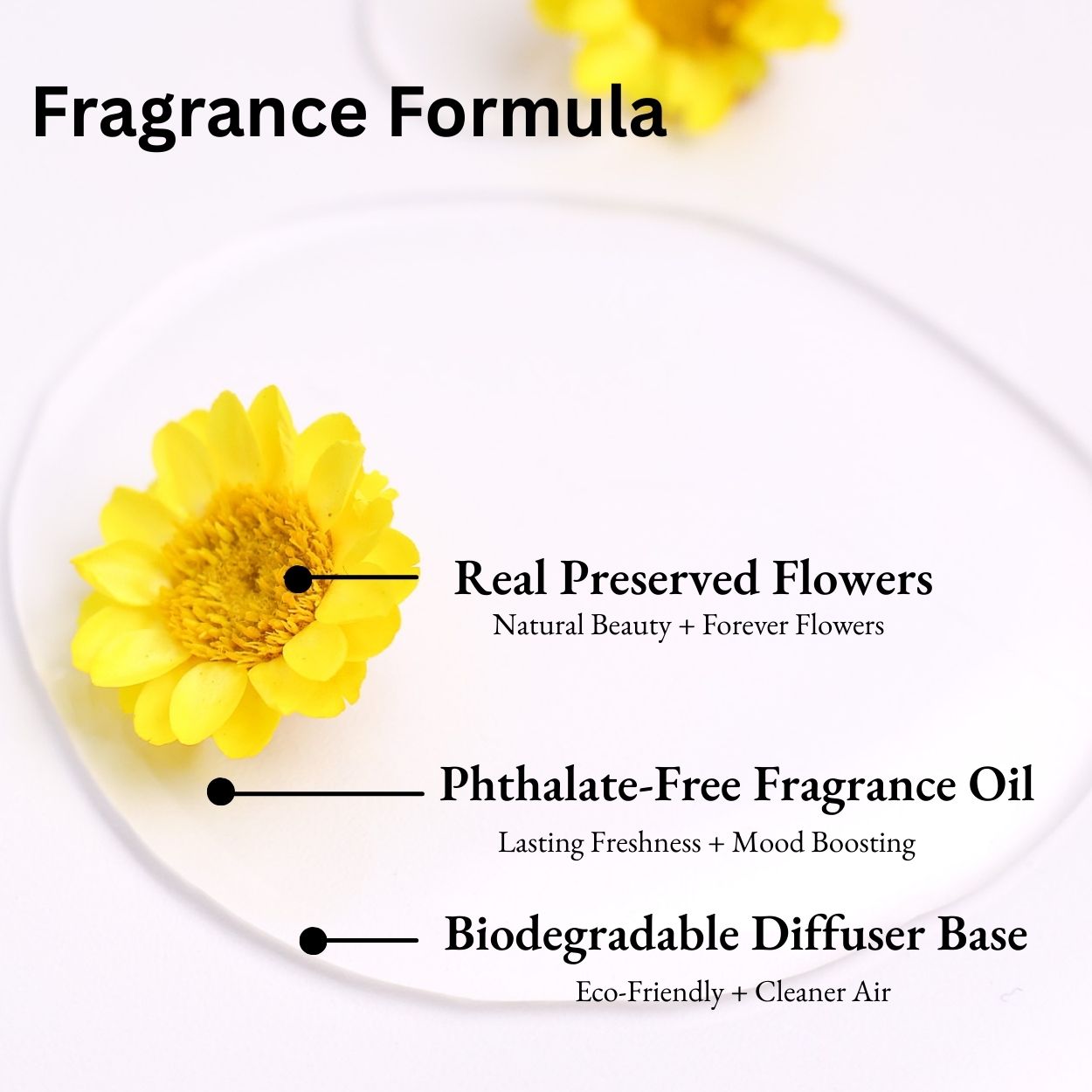 Vanilla, Patchouli & Sandalwood Car Diffuser