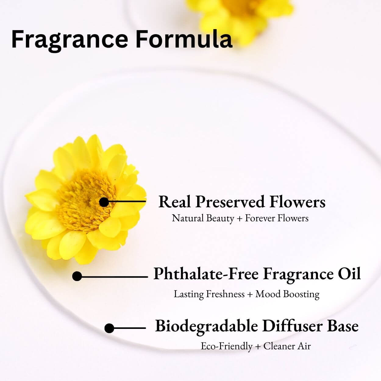 Vanilla, Patchouli & Sandalwood Car Diffuser fragrance formula with real preserved flowers, phthalate-free oil and biodegradable diffuser base