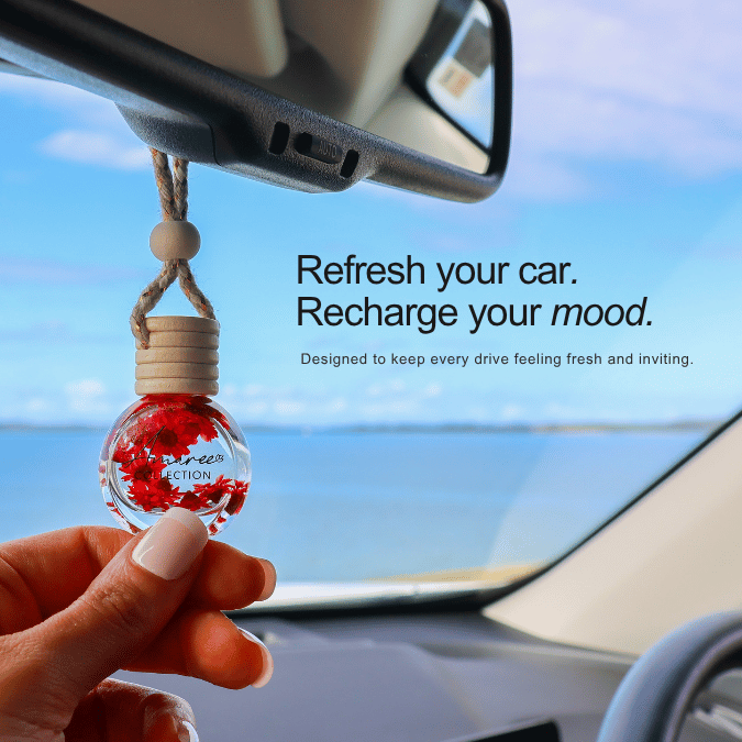 Black Raspberry & Vanilla Car Diffuser