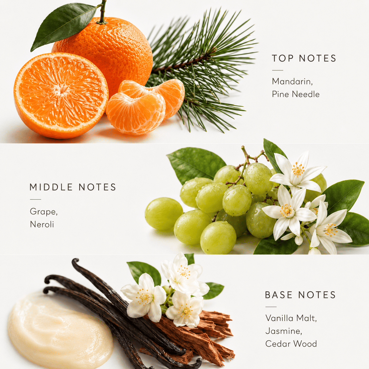 Japanese Honeysuckle Reed Diffuser 250ml