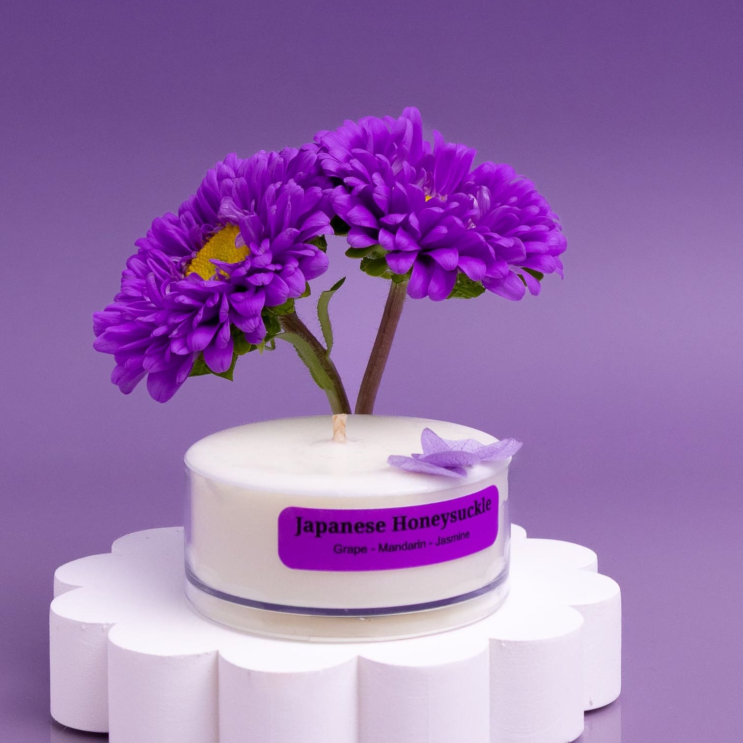 Fruity Favourites – Tealight Discovery Pack (4-Pack)