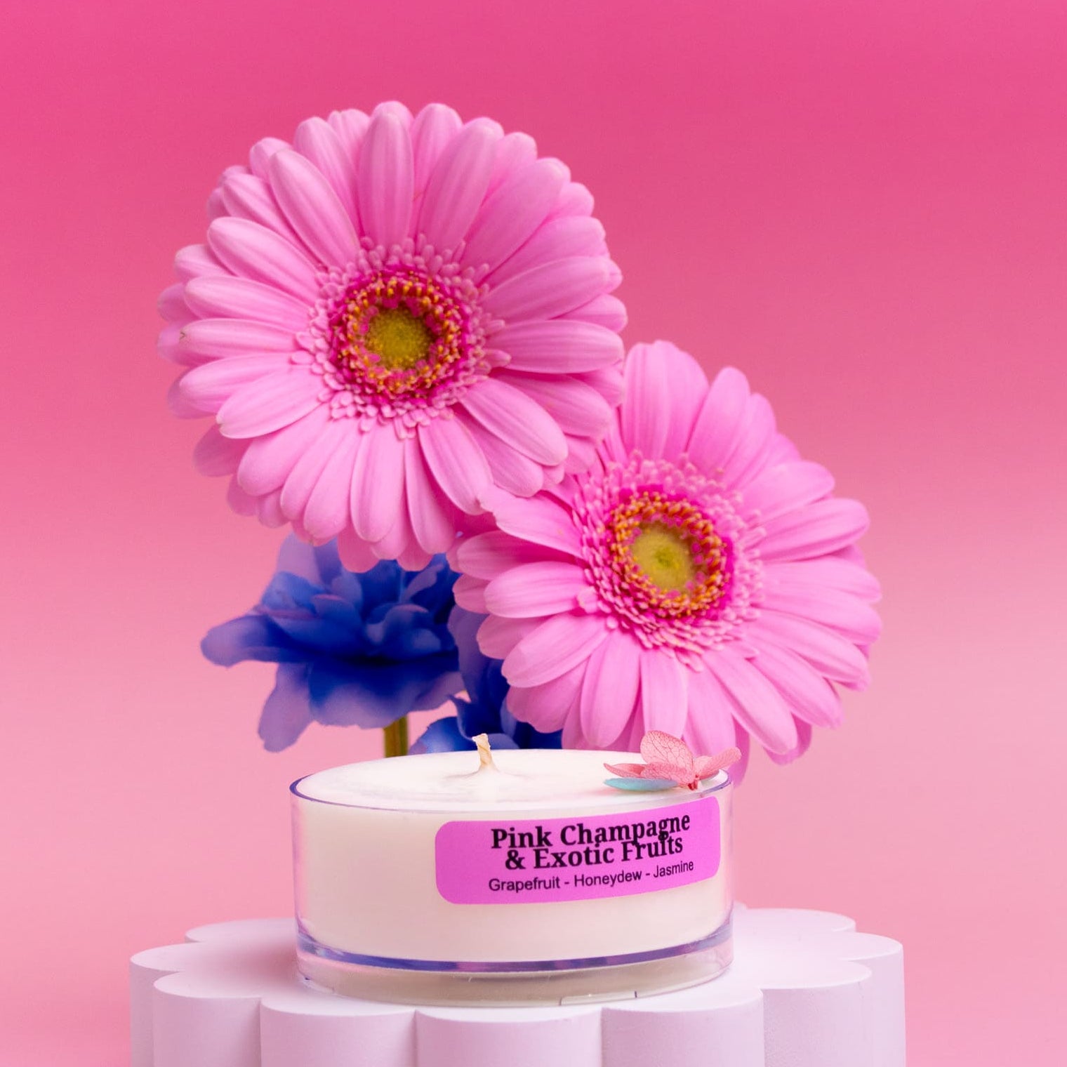 Fruity Favourites – Tealight Discovery Pack (4-Pack)