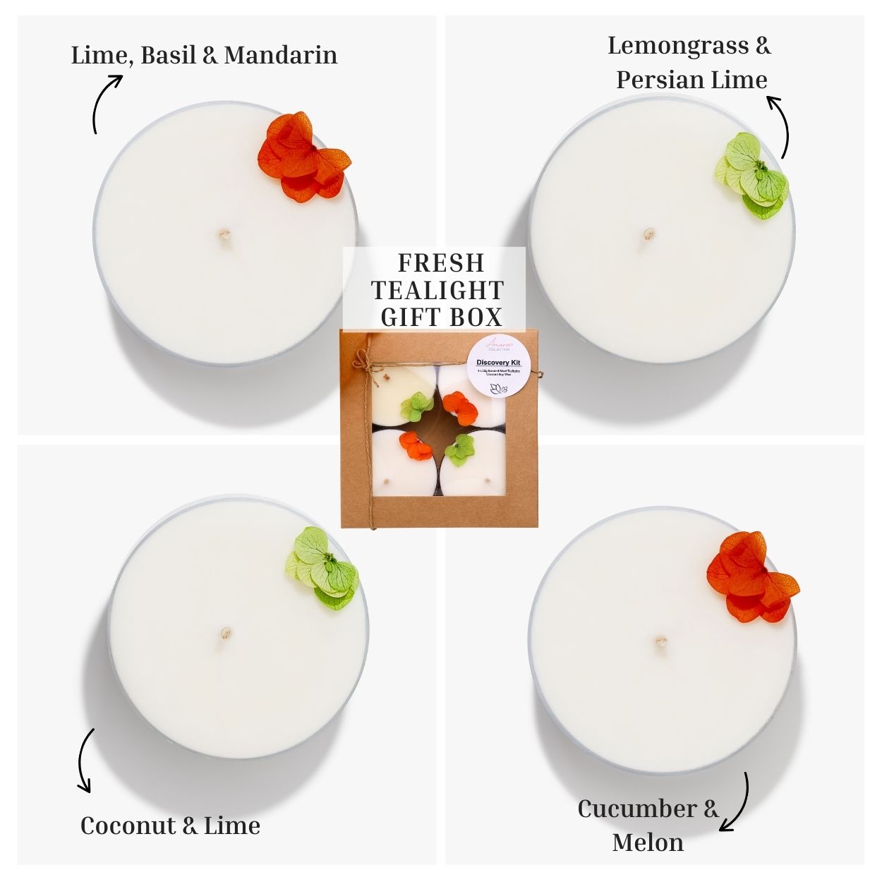 Fresh & Clean – Tealight Discovery Pack (4-Pack)