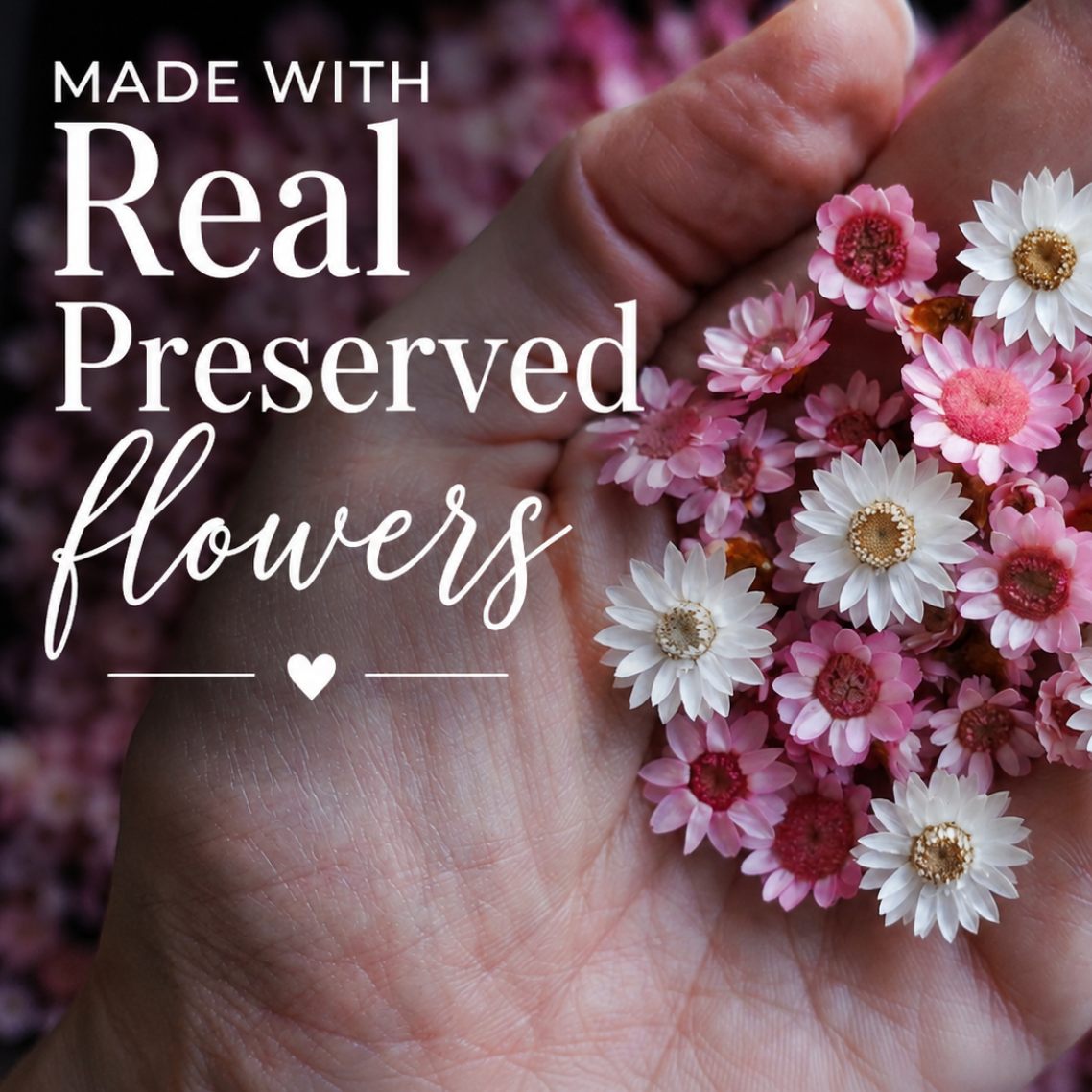 Hand holding pink and white preserved flowers with text &