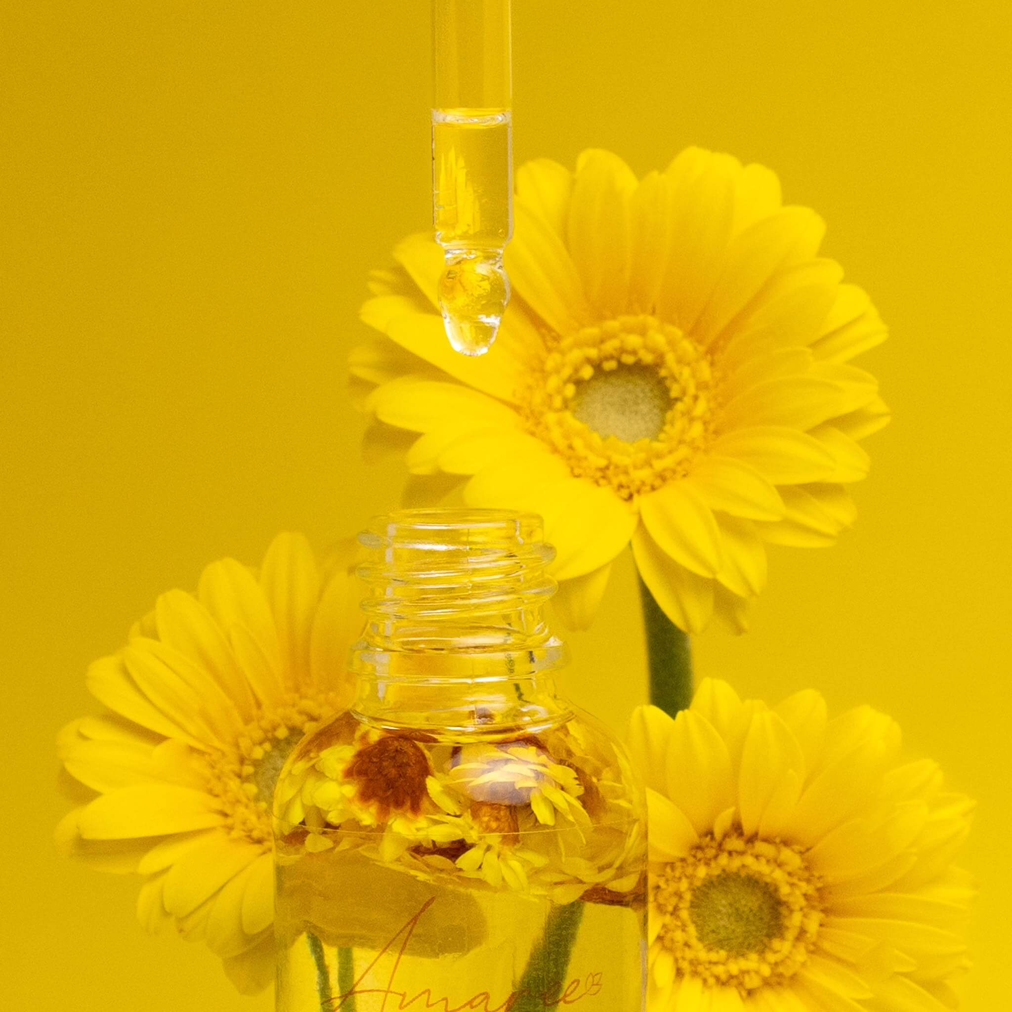 Alt Tag: Vanilla Patchouli & Sandalwood Car Diffuser Refill bottle with yellow floral oil dropper and bright daisy background