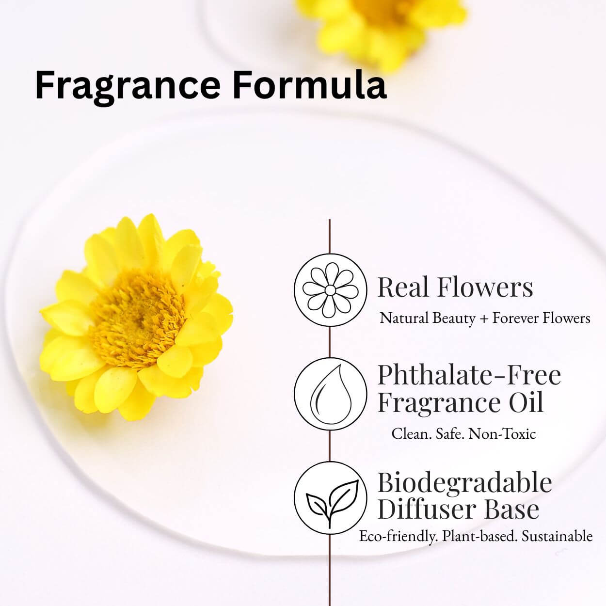 Vanilla Patchouli & Sandalwood Car Diffuser Refill with real flowers, phthalate-free fragrance oil and biodegradable diffuser base
