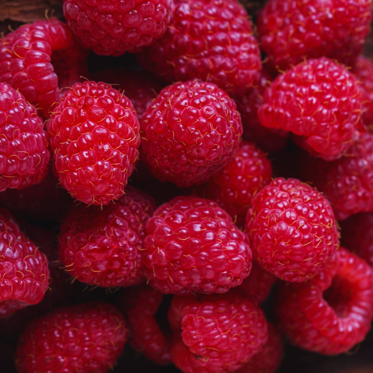 raspberries