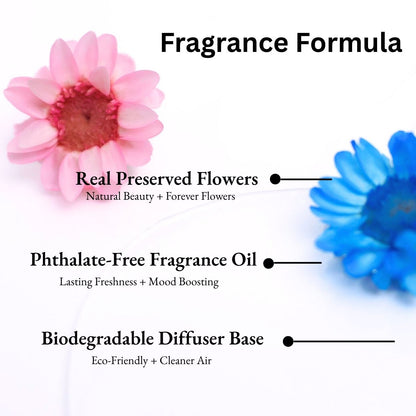 Pink Champagne &amp; Exotic Fruits Car Diffuser