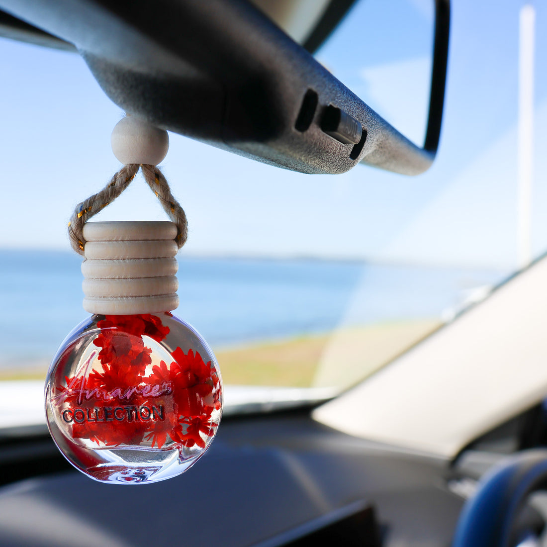 Black Raspberry &amp; Vanilla Car Diffuser