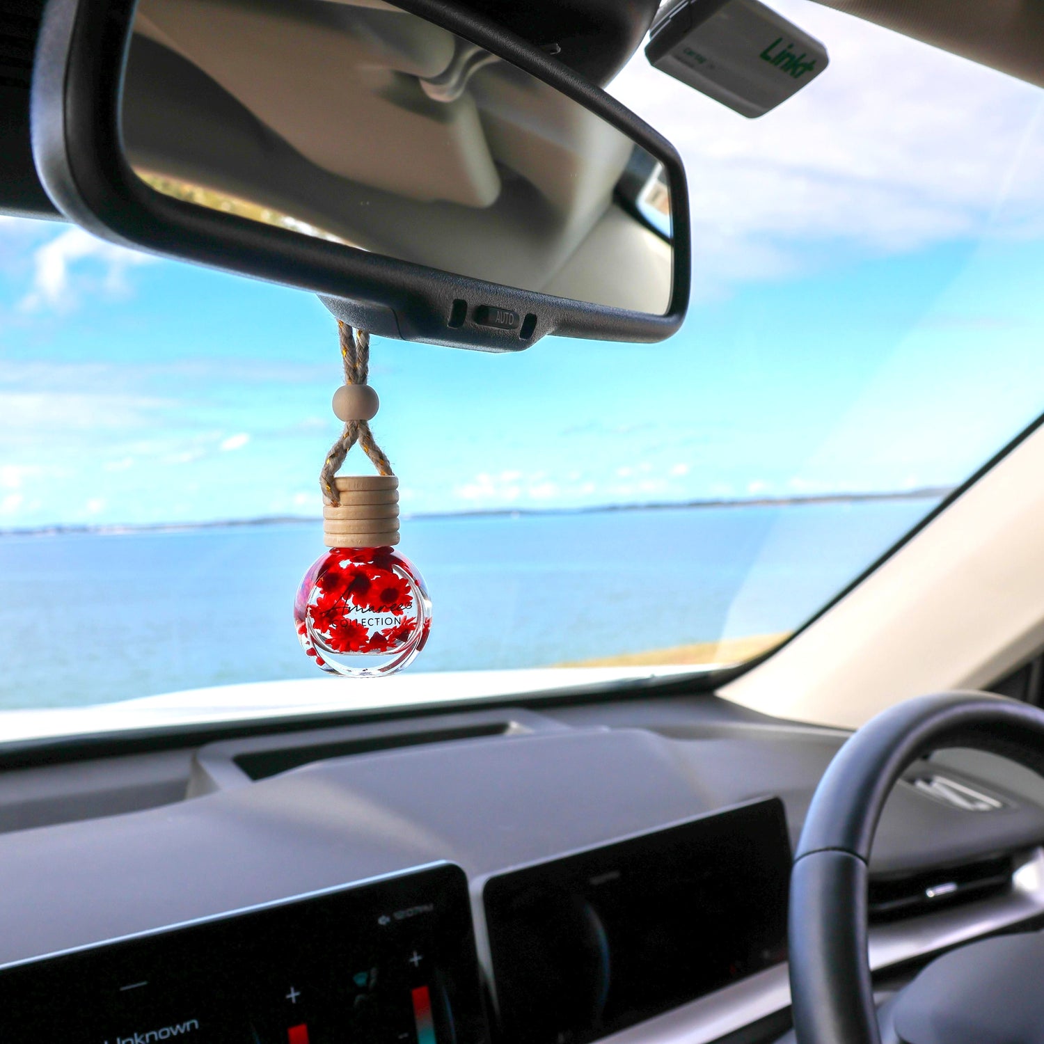 Black Raspberry &amp; Vanilla Car Diffuser