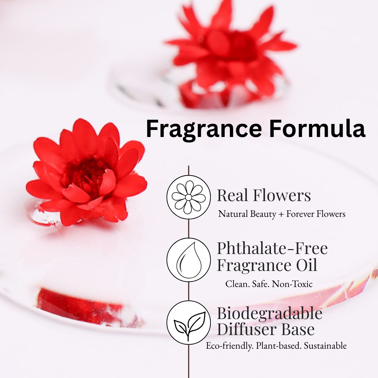Black Raspberry &amp; Vanilla Reed Diffuser 250ml