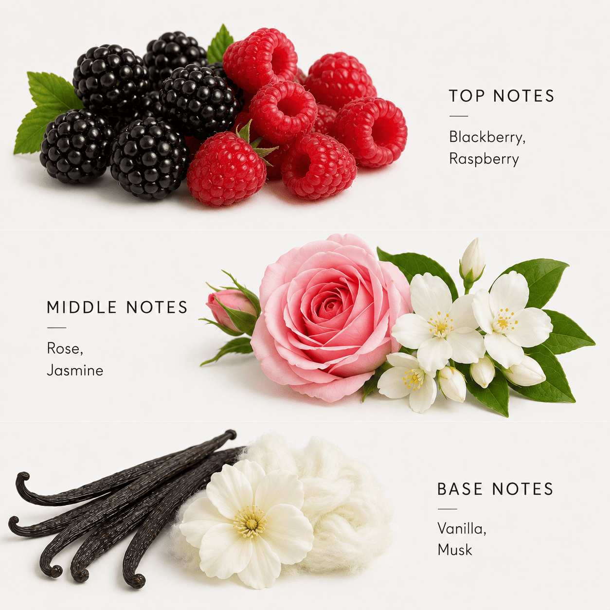 Fragrance notes with blackberries, raspberries, roses, jasmine, vanilla, and musk on a white background.