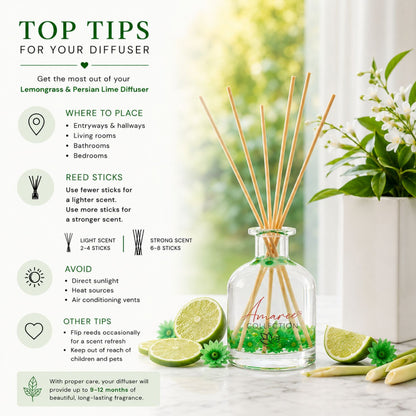 Diffuser with reed sticks and lime slices on a table with text on top tips for use.