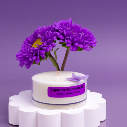 Fruity Favourites – Tealight Discovery Pack (4-Pack)