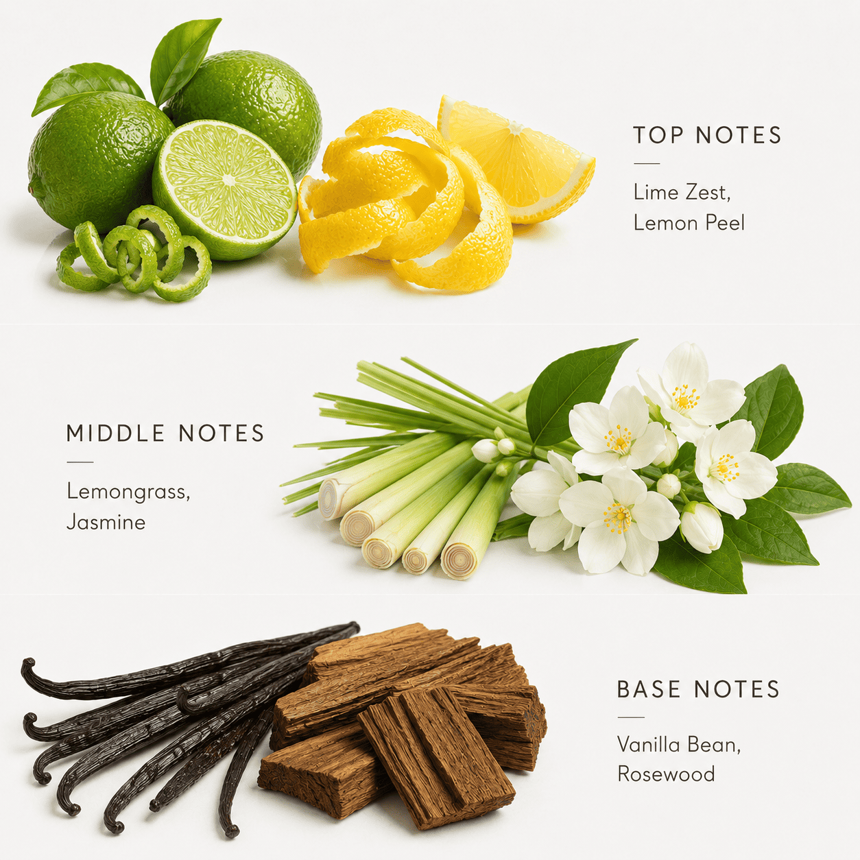 Illustration of lime, lemon peel, lemongrass, jasmine, vanilla beans, and rosewood on a white background.