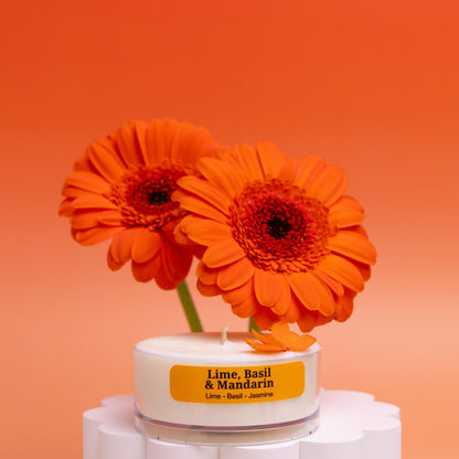 Fresh &amp; Clean – Tealight Discovery Pack (4-Pack)