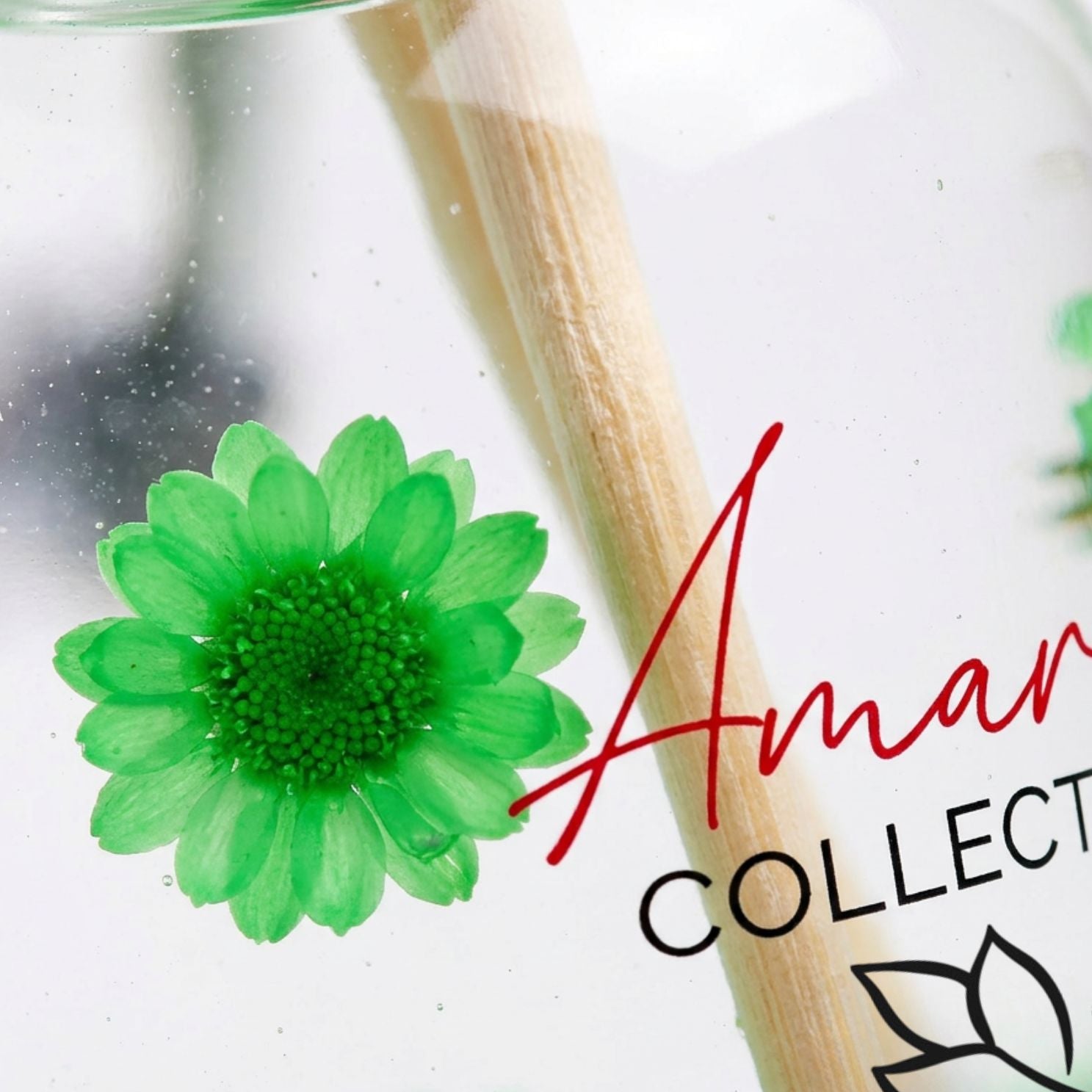 Green flower on a white background with &