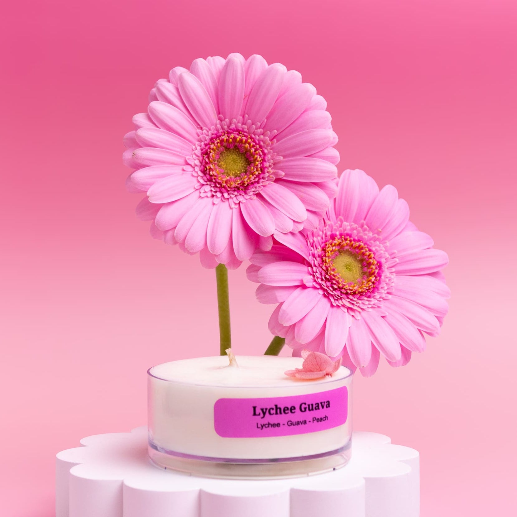 Fruity Favourites – Tealight Discovery Pack (4-Pack)