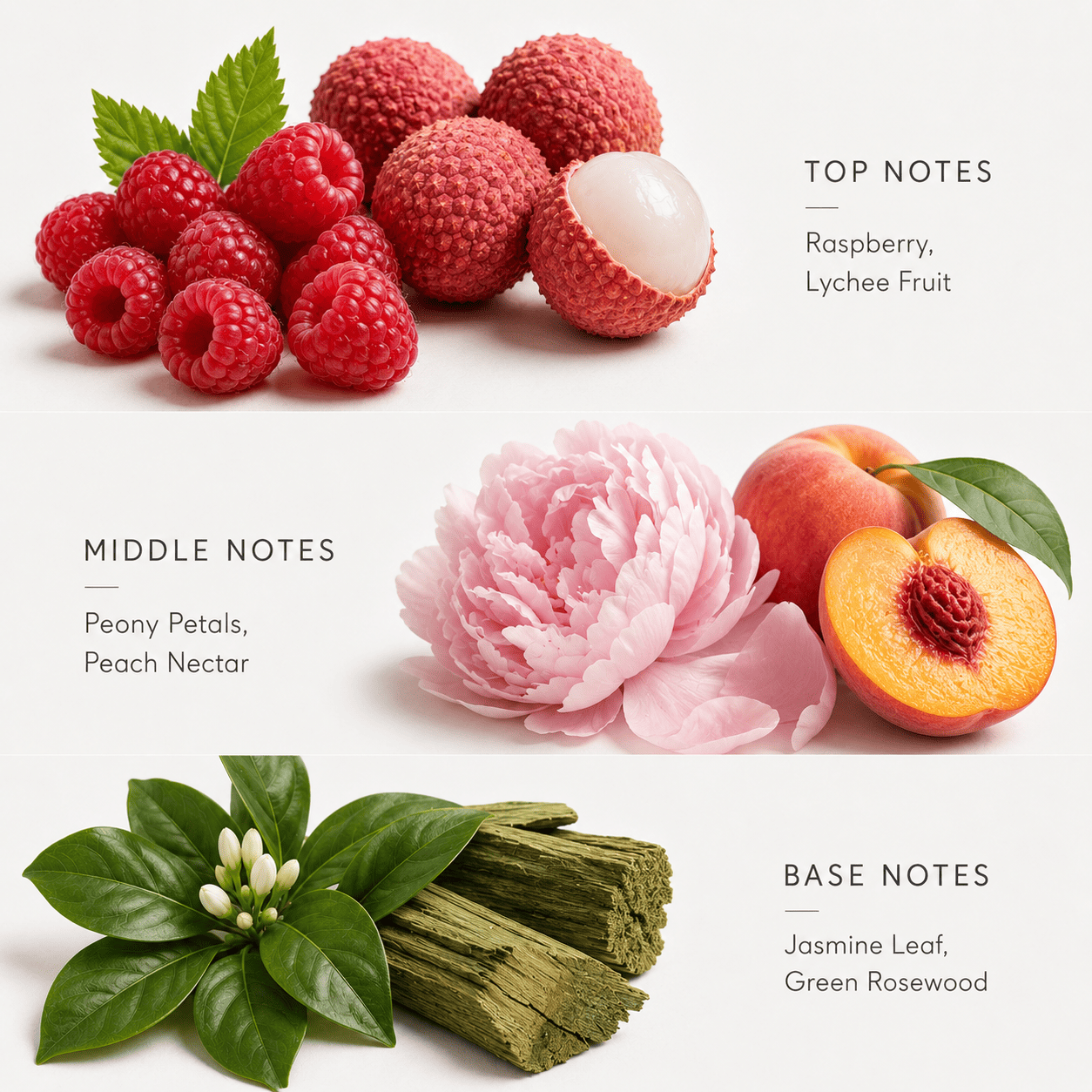 reed diffuser fragrance notes with fruits and flowers