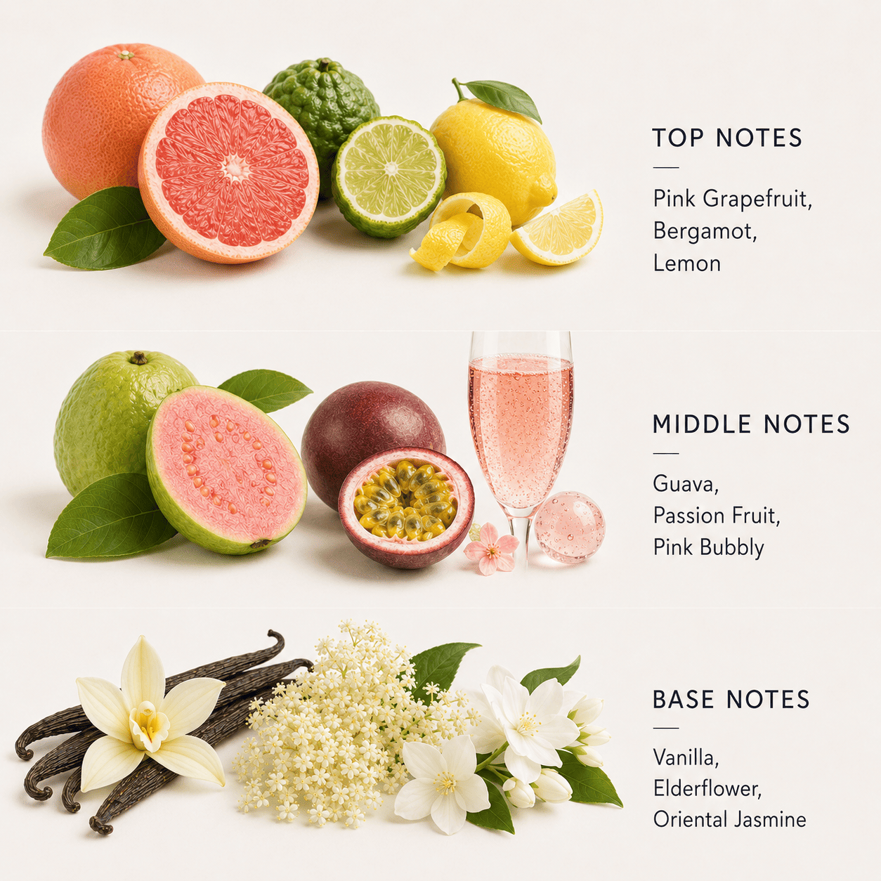 Assorted fruits and flowers with a glass of pink drink on a light background, labeled with top, middle, and base notes.