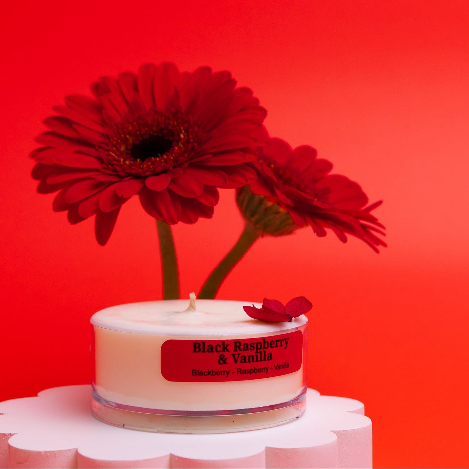 Fruity Favourites – Tealight Discovery Pack (4-Pack)