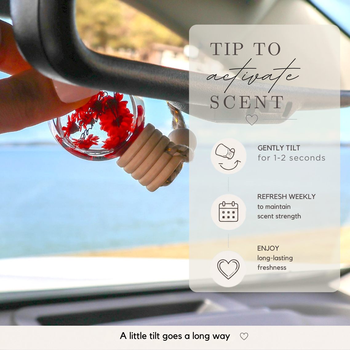 Black Raspberry &amp; Vanilla Car Diffuser