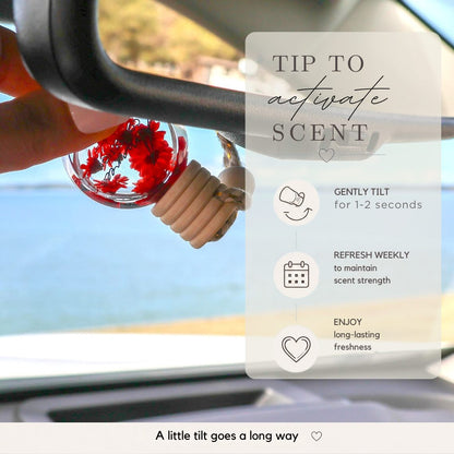 Black Raspberry &amp; Vanilla Car Diffuser