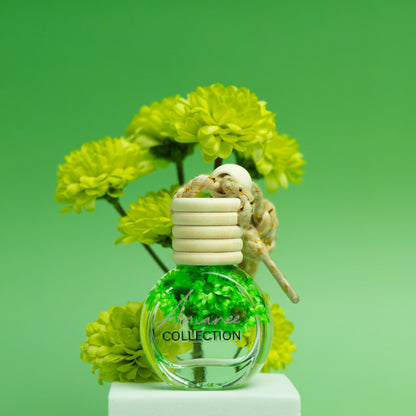 Coconut &amp; Lime Car Diffuser