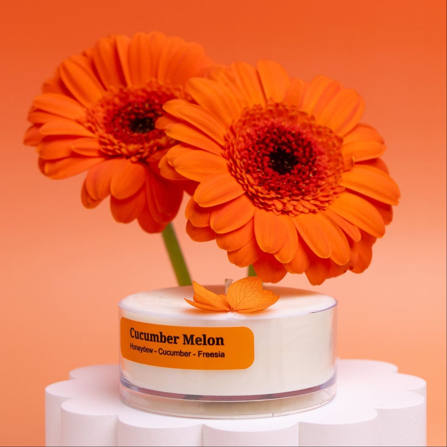 Fresh &amp; Clean – Tealight Discovery Pack (4-Pack)