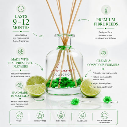 Aromatherapy diffuser with reeds and lime slices, featuring product details on a white background.