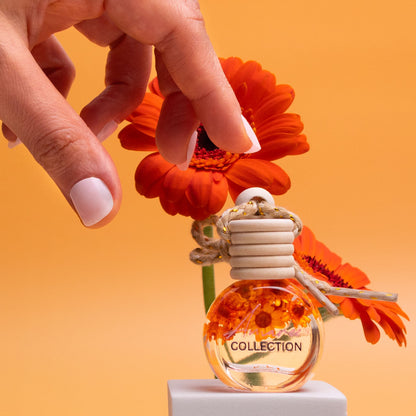 Lime, Basil &amp; Mandarin Car Diffuser