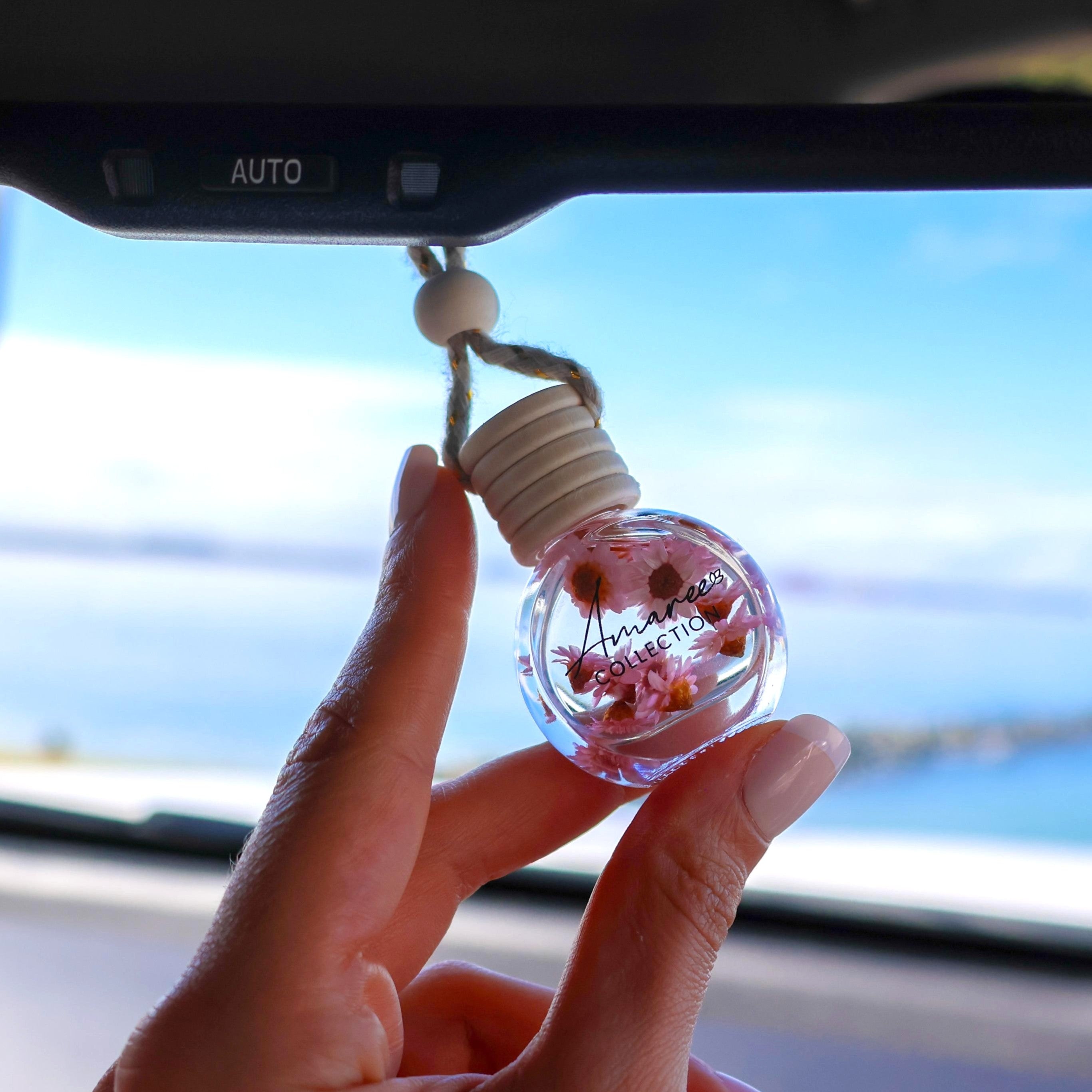 Lychee Guava Car Diffuser
