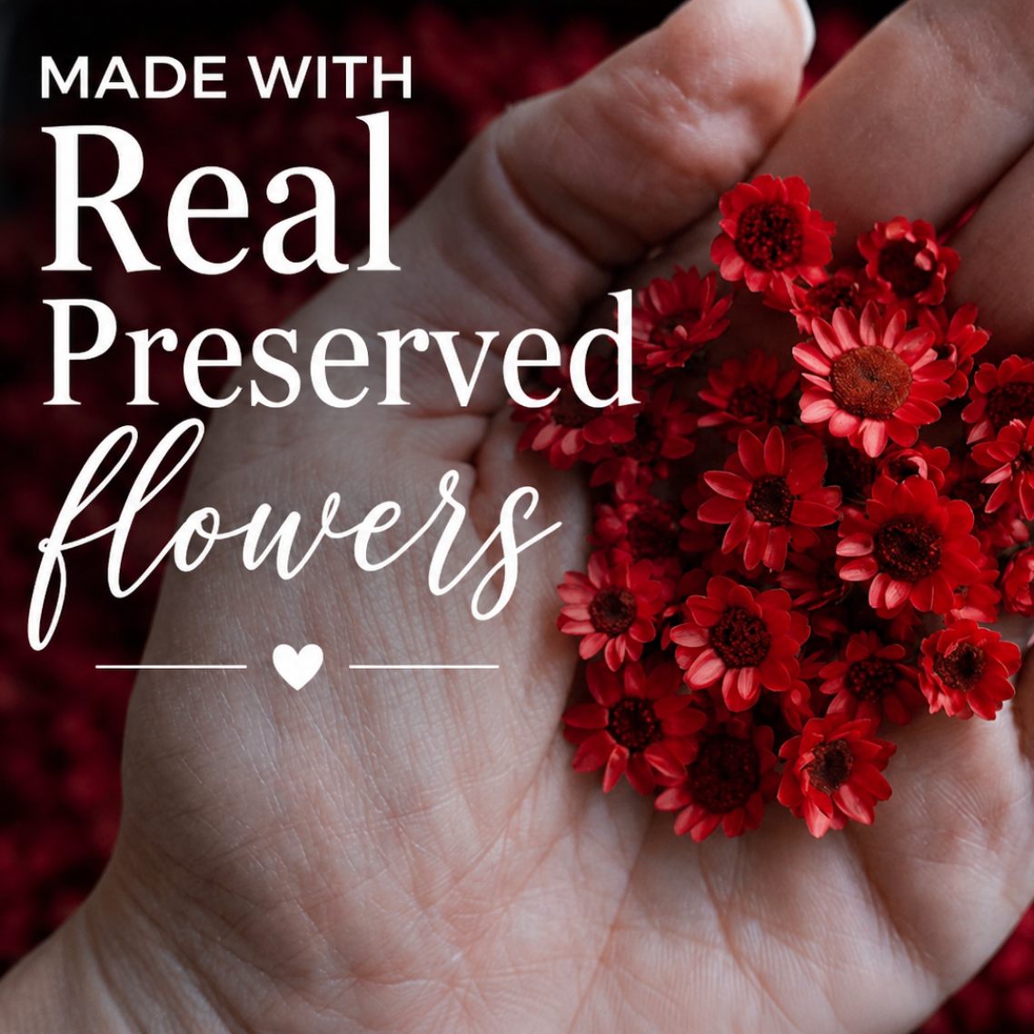 Hand holding red preserved flowers with text &