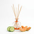 Reed diffuser with wooden sticks, sliced cucumber, and cantaloupe on a white background