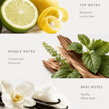 Illustration of lemons, cinnamon sticks, and vanilla beans with text indicating top, middle, and base notes.